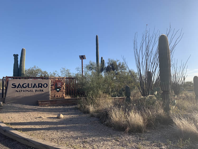 Saguaro National Park